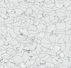 Кварцвиниловые полы Forbo Colorex SD 150203 фото 1 | FLOORDEALER